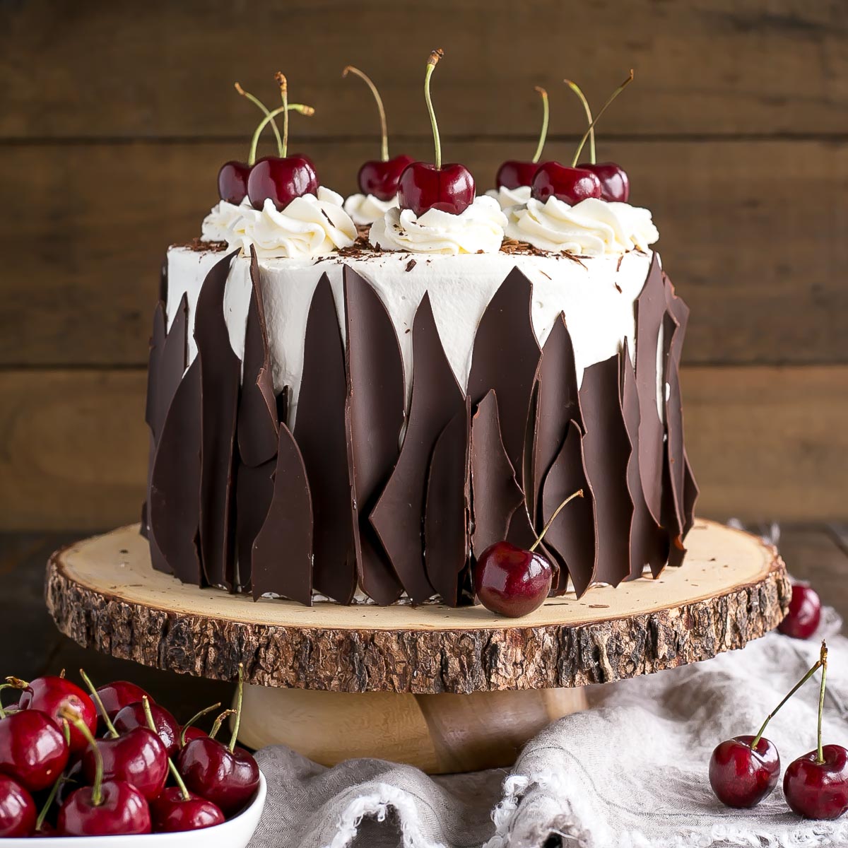 Black Forest Medium